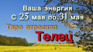 ТЕЛЕЦ ваша энергия !💕с 25  по 31 мая ‼️ #гадание #таро #раскладтаро