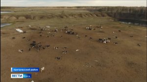 21:10 ВЕСТИ САХА 22/05/26 НА РУССКОМ ЯЗЫКЕ