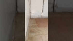 1000000179.mp4