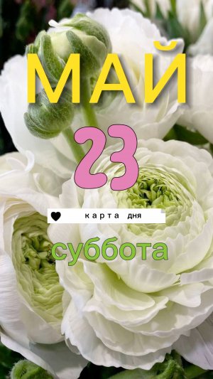Карта дня на 23-05-2026. Суббота