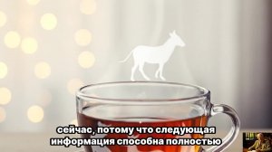 ЮНГ РАЗРУШИЛ МИФ — Одиночество после 50 НАЧАЛО великой ЛЮБВИ