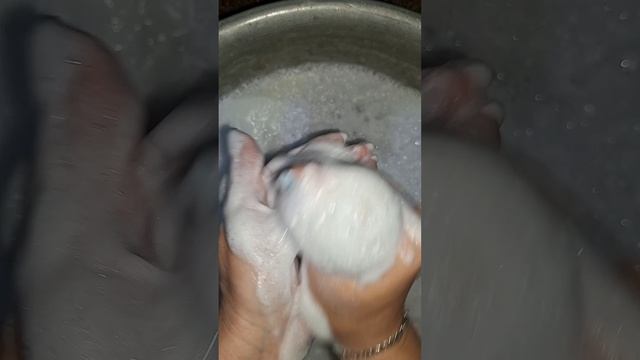 8817.mp4 смотреть онлайн
