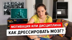 Мотивация и дисциплина. Как дрессировать мозг и научиться себе приказывать?