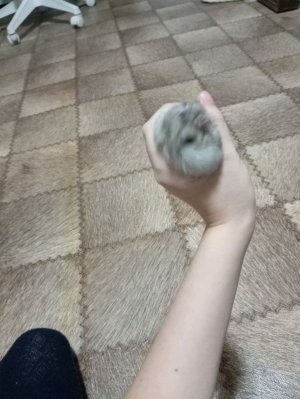 распаковка подарка на мой день рождения