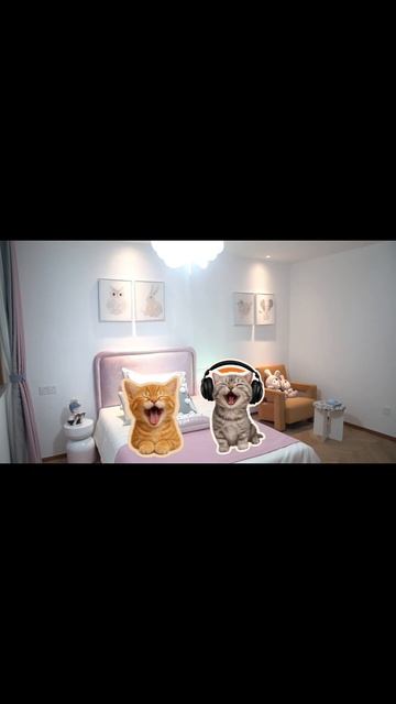 мяу мяу! котятки ребятки .