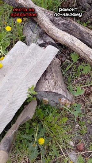 как поймать вредителей на даче и суровый ремонт ПК