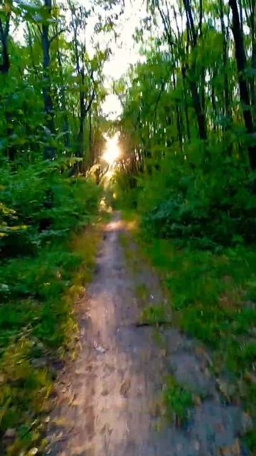 Здоровье это Важно 🌅🌳🏞️