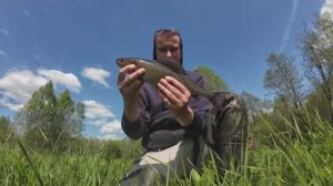 ХАРИУС.В мутной воде водится крупный хариус.