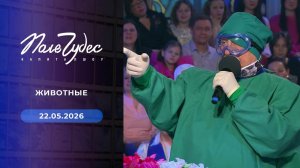 Поле чудес. Выпуск от 22.05.2026