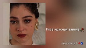 новая цыганская песня 2026 роза красная 🥀
приятного прослушивания 🫂❤️