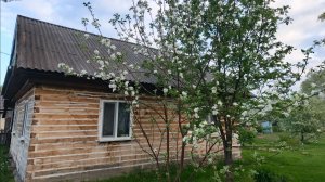 Натворил дел По своей глупости испортил землю в палисаднике Не делайте так никогда