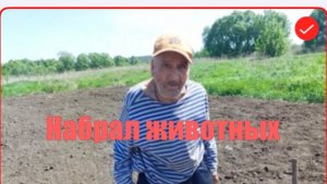 Быть Добру. Дед Матвей. Животных прибавляется