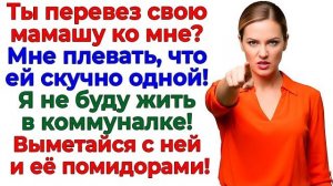 Истории из жизни|Муж перепутал мой дом с|Аудио рассказы|Аудиокниги слушать онлайн|Жизненные истории