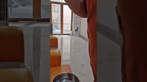 Отвезла Шоколадке пробиотики и кефир