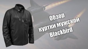 Обзор кожаной куртки Blackbird