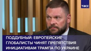 Поддубный: европейские глобалисты чинят препятствия инициативам Трампа по Украине