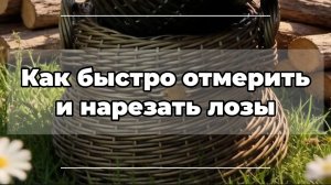 Нарезаем лозы за 1 минуту