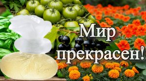 Прекрасный мир от Kenzo, или Моё деревенское детство.