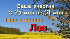 ЛЕВ ваша энергия !💕с 25  по 31 мая ‼️ #гадание #таро #раскладтаро