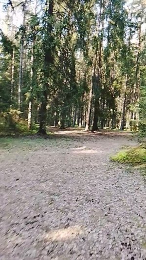 Обожаю такую красоту!