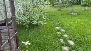 Сайдинга пока не будет. Много подушек. Тыквы на компост.