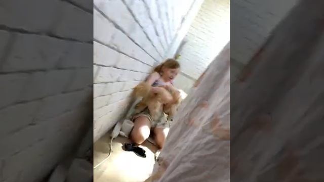 24 часа на болконе смотреть онлайн