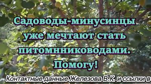 Садоводы-минусинцы уже мечтают стать питомнниководами. помогу!