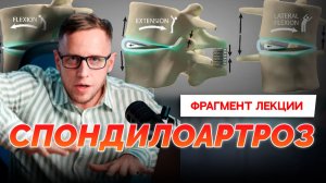 Как разрушаются суставы в позвоночнике