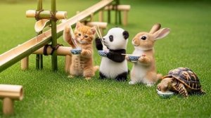 Котики - сборник [1,5 часа]