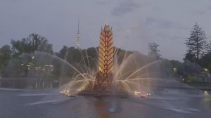фонтан золотой колос