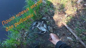 Рыбалка на боковой кивок. Верхняя и Нижняя Синячиха. Разведка новых мест!
