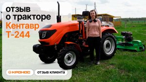 Маленький китаец вместо ЛТЗ? | Трактор Кентавр Т-244 удивил на участке 4,5 га