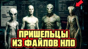 В рассекреченных файлах по НЛО чаще всего упоминаются четыре типа «пришельцев»