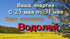 ВОДОЛЕЙ ваша энергия !💕с 25  по 31 мая ‼️ #гадание #таро #раскладтаро