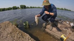 Рыбалка на резинку Забытая всеми снасть из СССР ловит рыбу в любом месте.