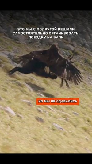 49 секунд, которые объяснят, почему люди берут туры на Бали