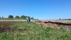 посадка рассады, начало копки ямы под туалет