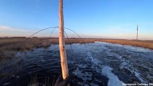 И снова секретный мост  не отпускал меня домой.  Рыбалка на паук подъёмник.