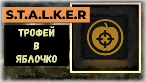 S.T.A.L.K.E.R.2 Сердце Чернобыля Где получить трофей «В яблочко»