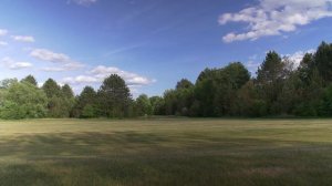 4K Landscape Scene - BlueField_S - Free Stock Footage