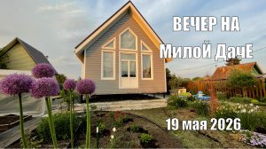 Вечерние хроники на милой даче 19 мая