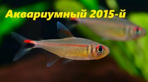 Аквариумная ретроспектива. Год 2015-й