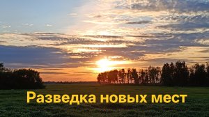 Разведка новых мест / поиск монет с металлоискателем #70