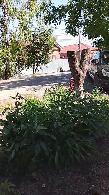 1782.mp4 смотреть онлайн