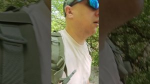Прогулка собакой по лесу