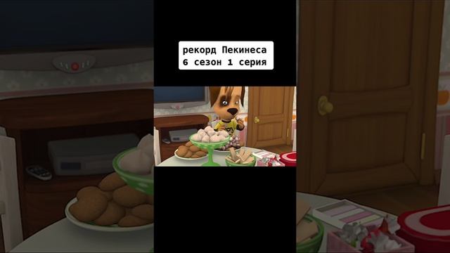 Я люблю всех животных😇 смотреть онлайн