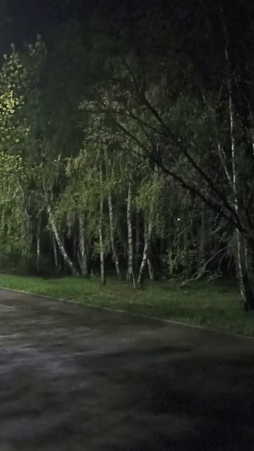 Весенняя песнь в ночи