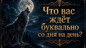 Что вас ждёт буквально со дня на день? Гадание пасьянс Tarot Reading