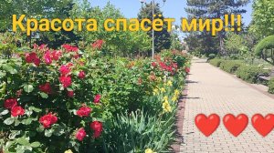 За здоровьем! Красота парка. Борьба с травой. Жизнь на пенсии.