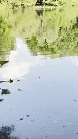 Ловля карася и густеры на микро удочку